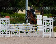 Albanesi Lady Date GioCav2013 S5 1135 : Albanesi Giorgia, Campionati Italiani Giovani Cavalli, Cattolica, Lady Date, ph Stefano Secchi ©